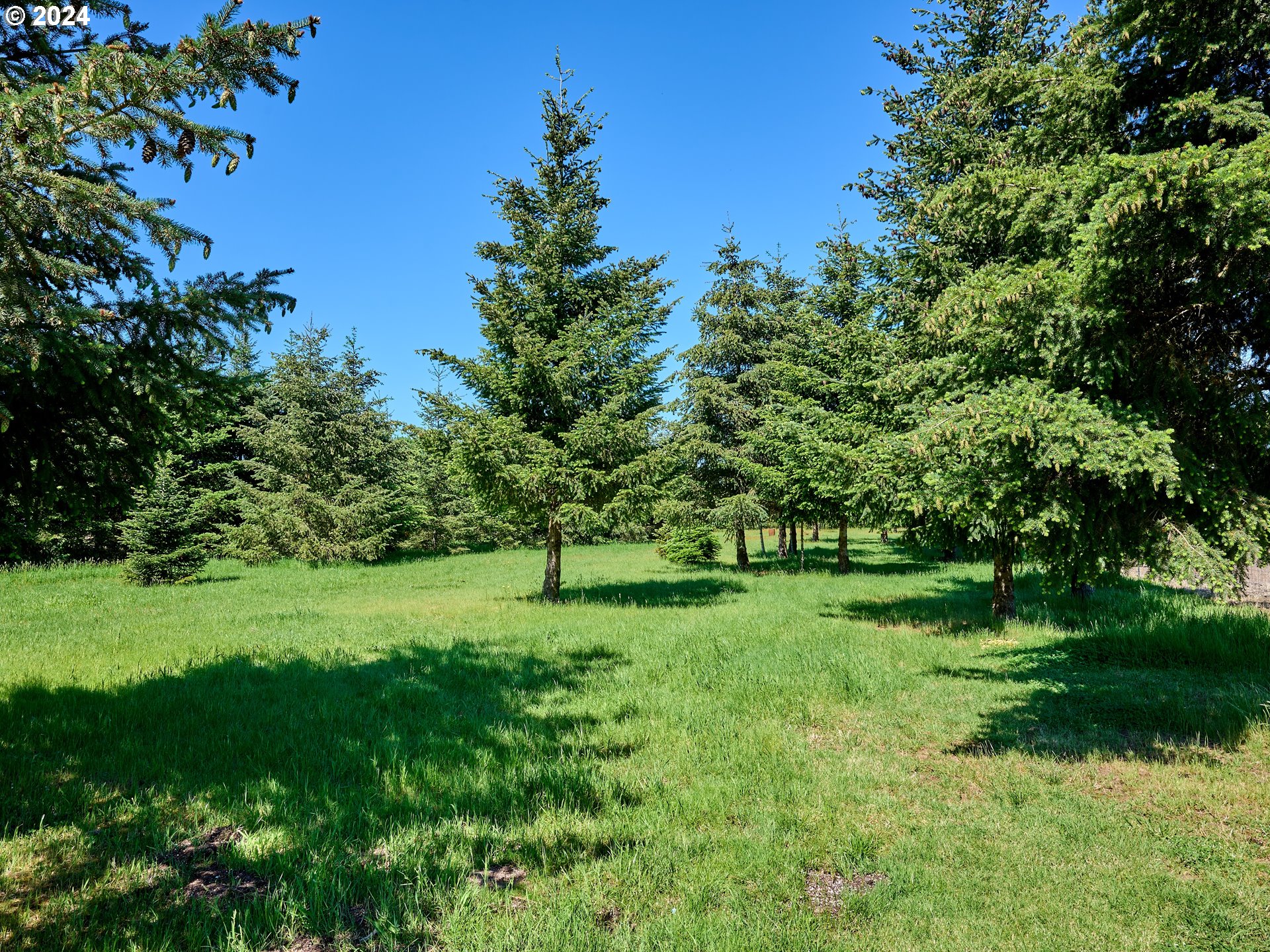 16795 Butteville Road Northeast Woodburn, OR 97071 - Photo 43 of 46 Gallery Image 43