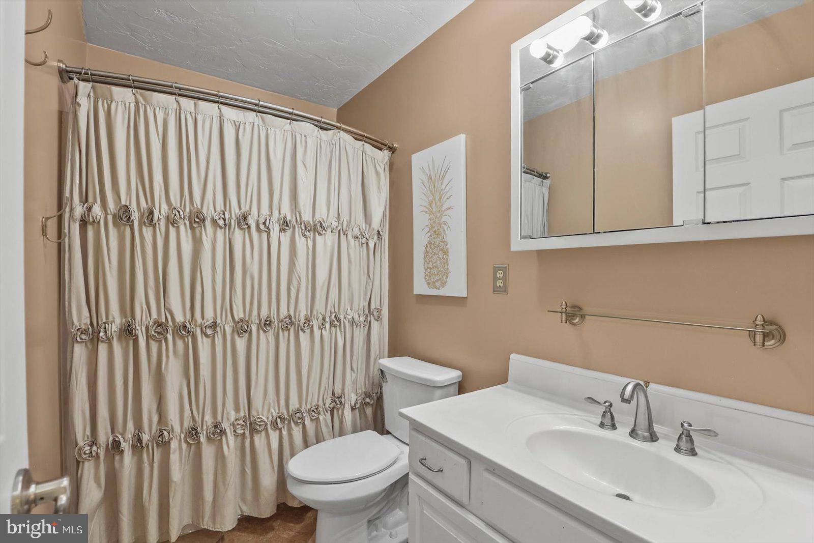 113 Timber Lane Hanover, PA 17331 - Photo 22 of 43 a bathroom with a sink toilet and shower