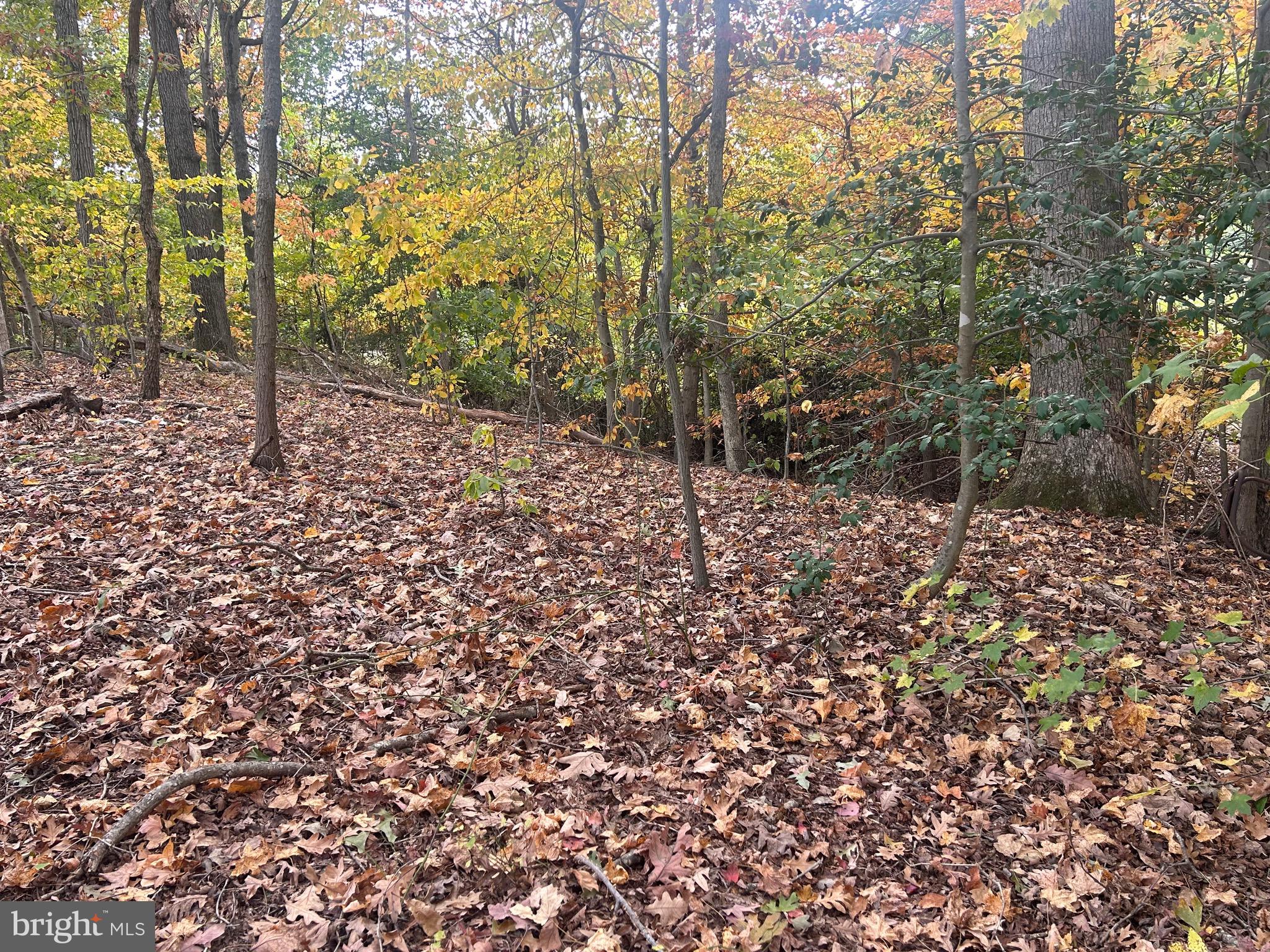 Bock Road Fort Washington, MD 20744 - Photo 2 of 11