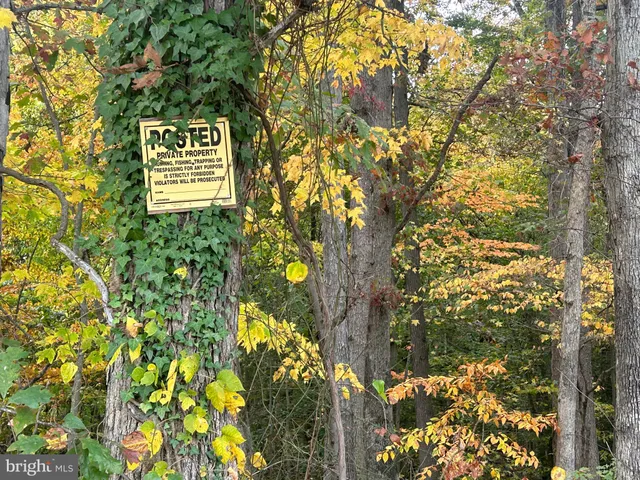 a view of a yard with mountain view