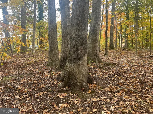 $85,000 | Bock Road, Fort Washington, MD 20744