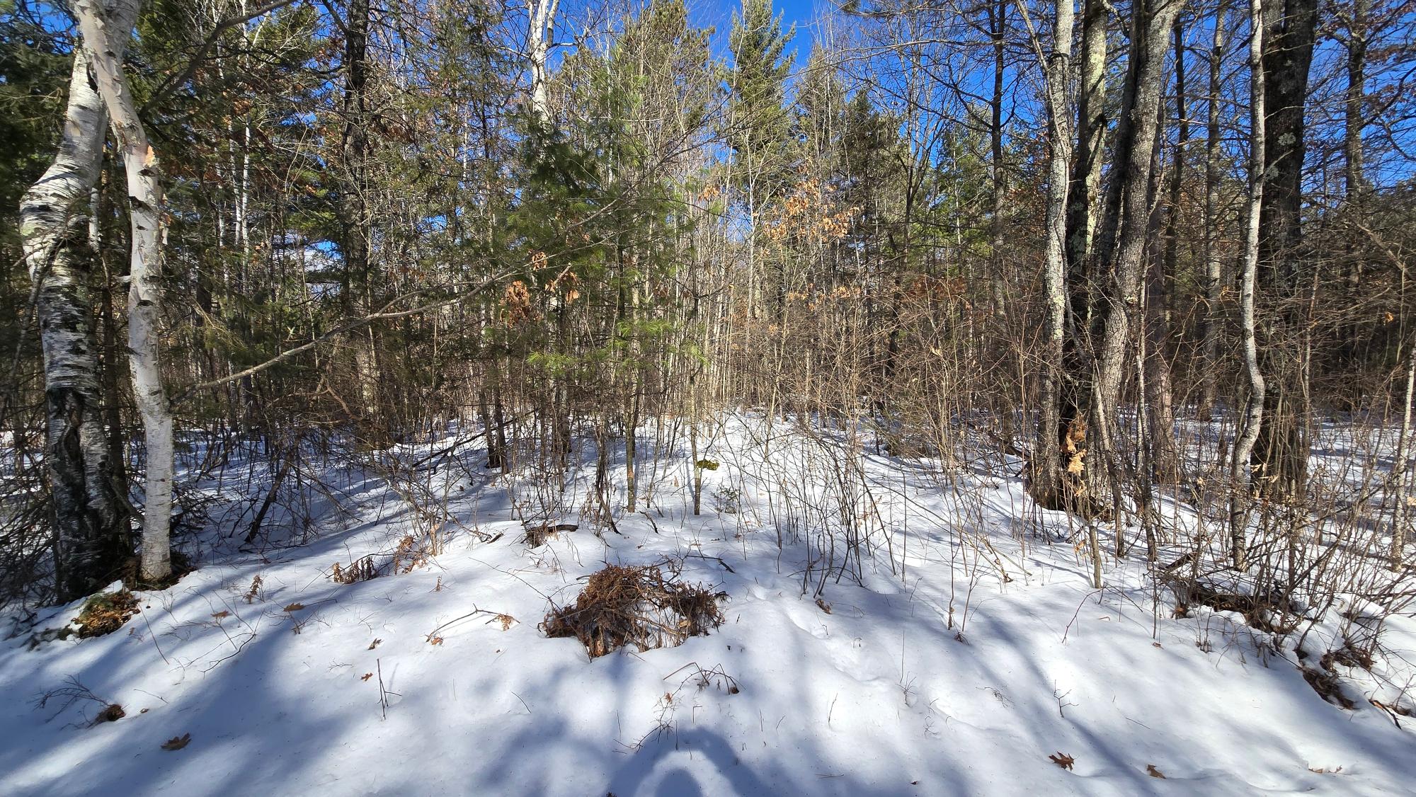 Off Clear Lake Road, Unit 40 ACRES Pearson, WI 54462 - Photo 15 of 29 Gallery Image 15