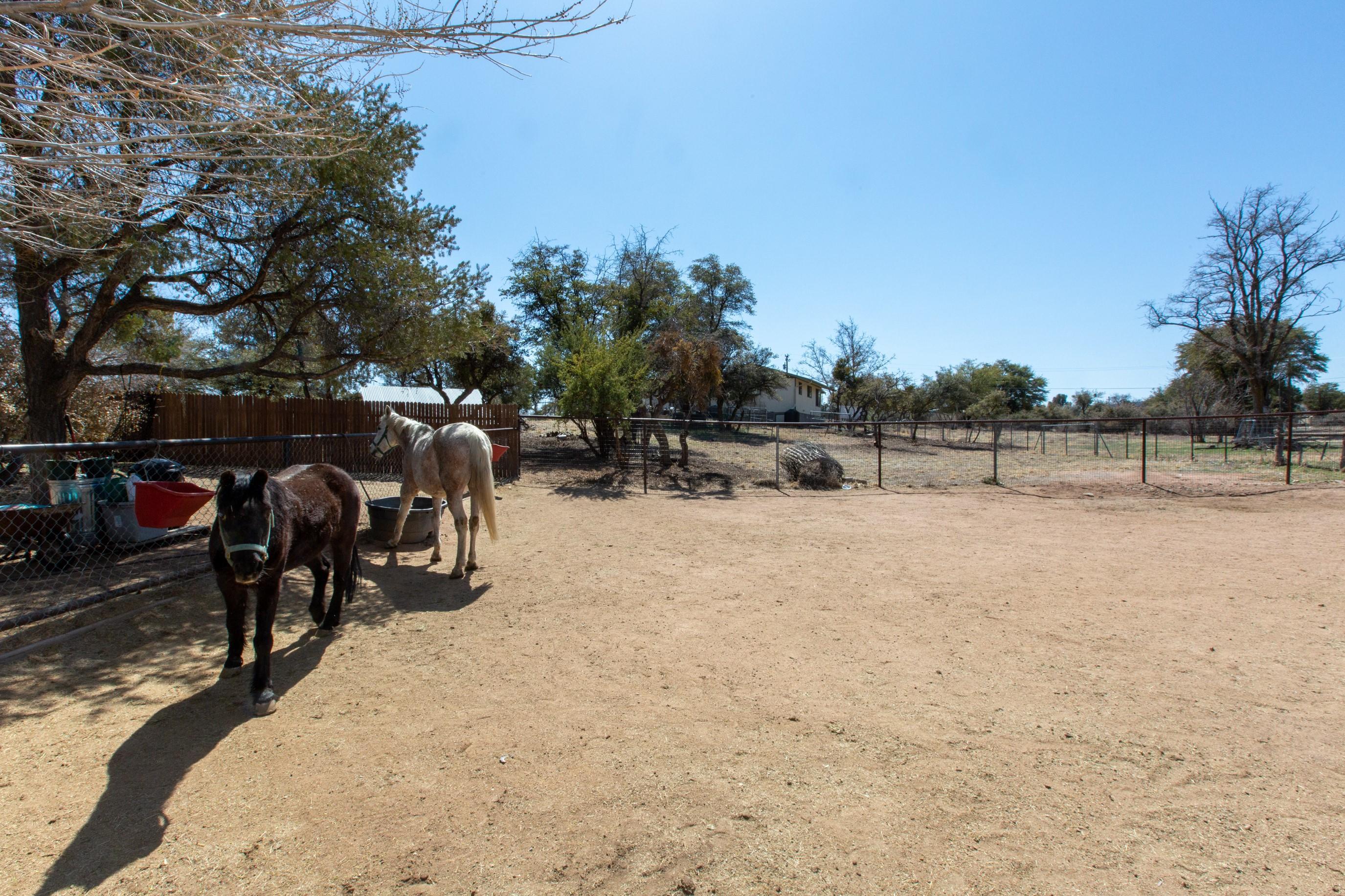 7270 North Race Track Road Prescott, AZ 86305 - Photo 27 of 33 149A3075