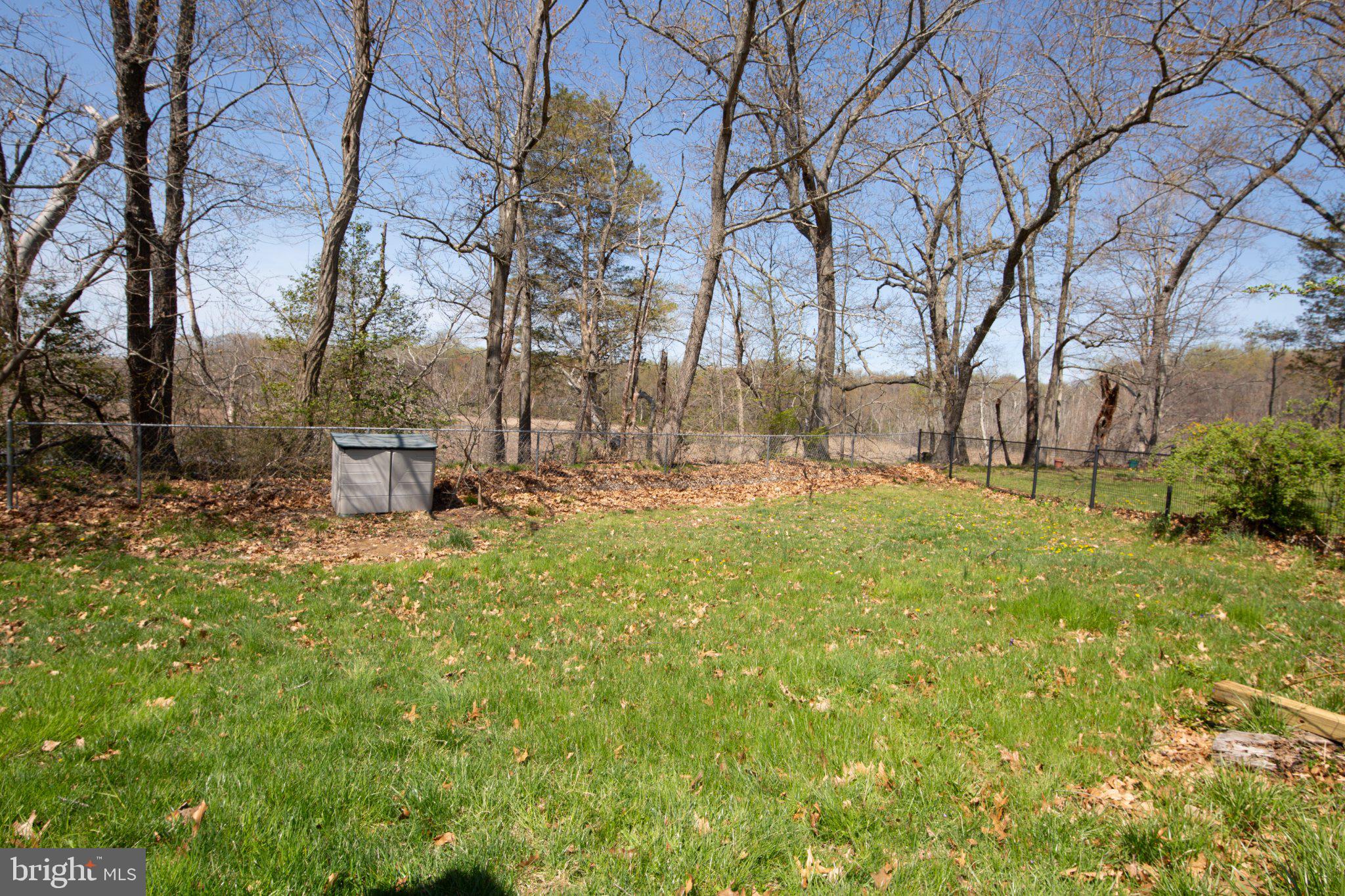 610 Country Club Road Havre de Grace, MD 21078 - Photo 46 of 56 Serene backyard with seasonal charm.