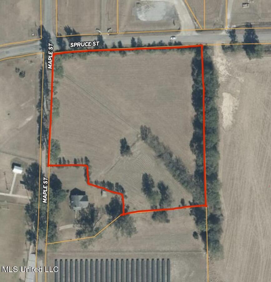 Spruce Street Walnut Grove, MS 39189 - Photo 11 of 11 403C9628-E5FA-4A5B-8E09-CF1E06FD237A_1_1