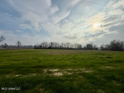 $125,000 | Spruce Street, Walnut Grove, MS 39189