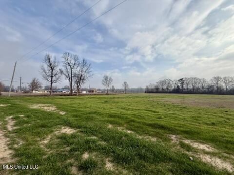 Spruce Street Walnut Grove, MS 39189 - Photo 5 of 11 75D1C54E-E3B9-4516-BDE8-E28BE589DC30_4_5