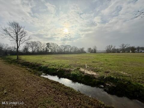 Spruce Street Walnut Grove, MS 39189 - Photo 7 of 11 B2CA1DE5-28BB-4271-B7B8-76204A9C9FDE_4_5
