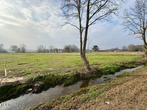 Spruce Street Walnut Grove, MS 39189 - Photo 8 of 11 A9BB4006-2D14-4376-A7A5-B38D64346894_4_5