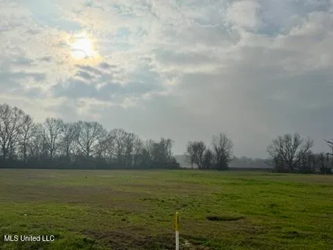 $125,000 | Spruce Street, Walnut Grove, MS 39189