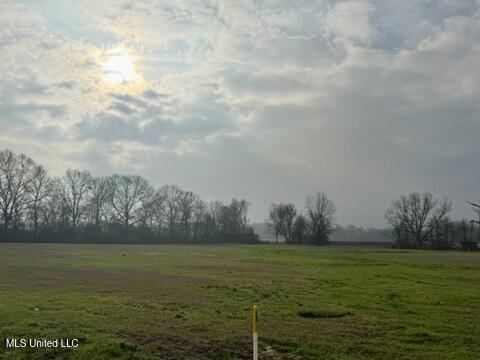 Spruce Street Walnut Grove, MS 39189 - Photo 9 of 11 06B4C98F-F59B-4701-A2CA-1ED7D35A105F_4_5