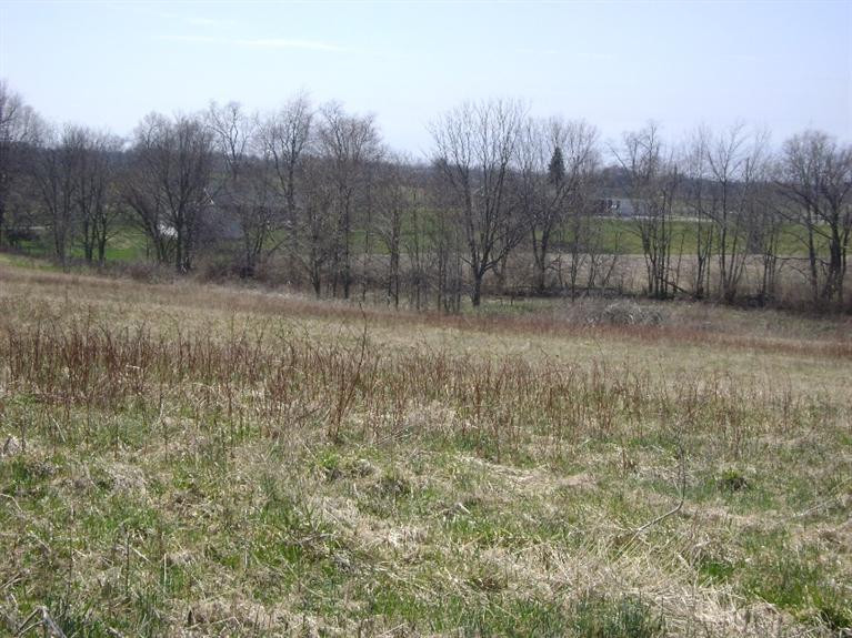 555 Tarr Road Paris, KY 40361 - Photo 35 of 36 Photo 35
