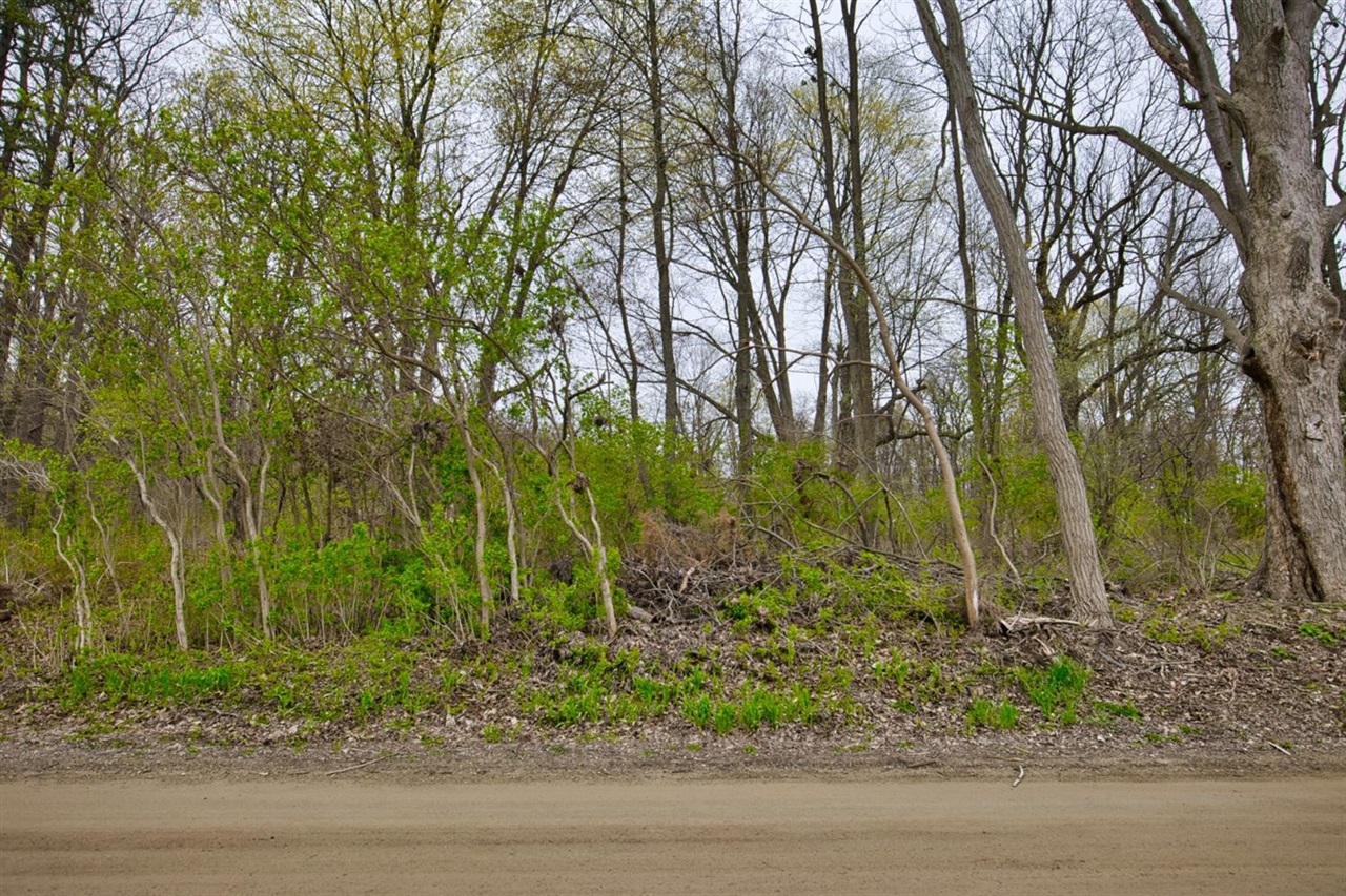 0 Hall Road Whitmore Lake, MI 48189 - Photo 12 of 13