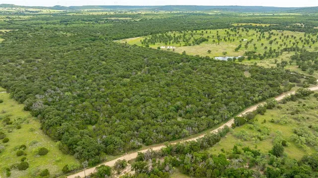 a view of a green field with lots of bushes