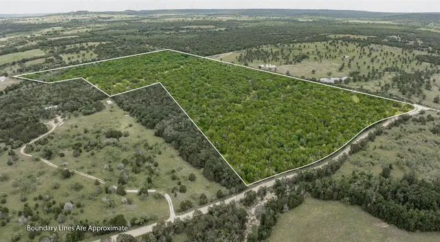 a view of a field with an ocean view