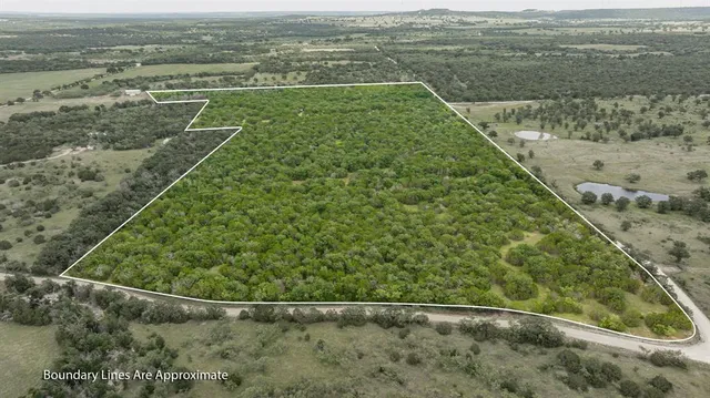 a view of outdoor space and trees