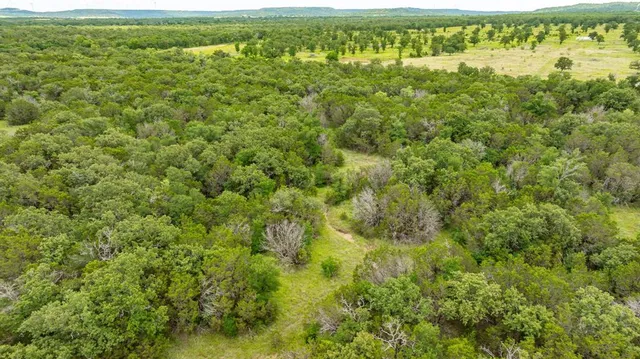 a view of a big yard with plants and large trees