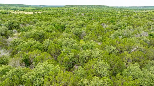 a view of a green field with lots of trees