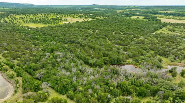 a view of a green field with lots of bushes