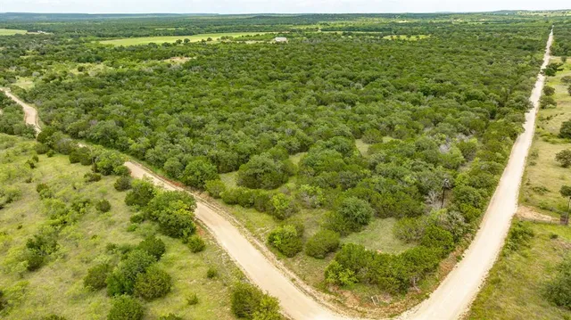 a view of a green field with lots of bushes