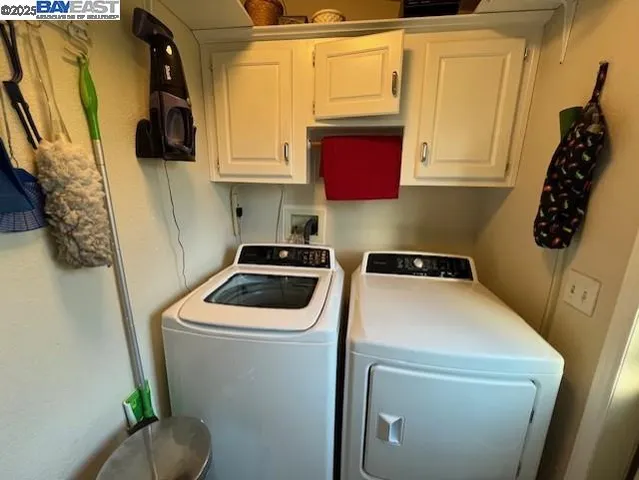 a room with lots of trees and plants