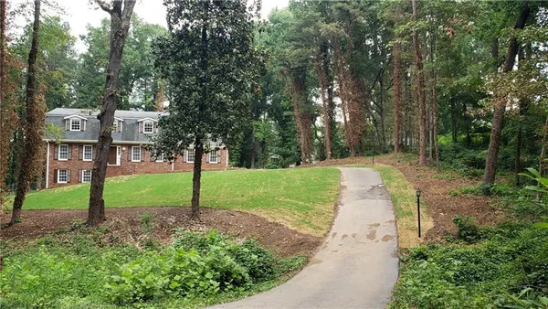 a view of a park with large trees