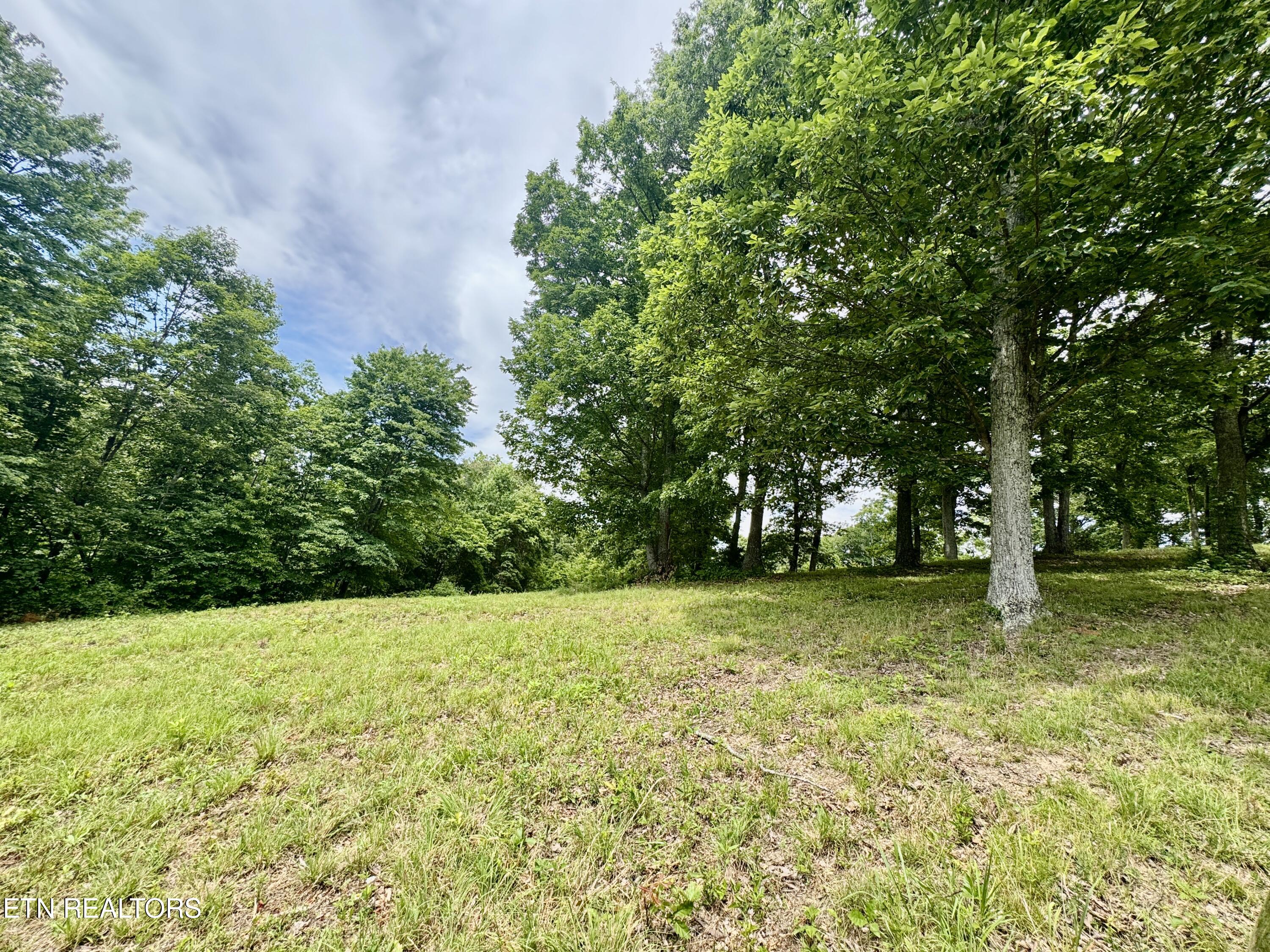 378 Johnson Hollow Road New Tazewell, TN 37825 - Photo 16 of 35 1-16