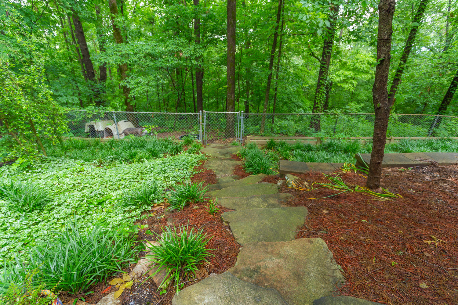 69 Ridgeway Circle Ringgold, GA 30736 - Photo 15 of 69 69 Ridgeway HD -8