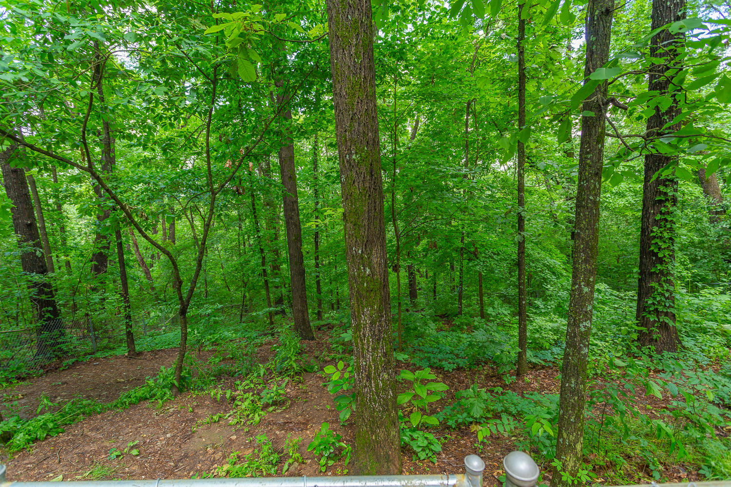 69 Ridgeway Circle Ringgold, GA 30736 - Photo 17 of 69 69 Ridgeway HD -10