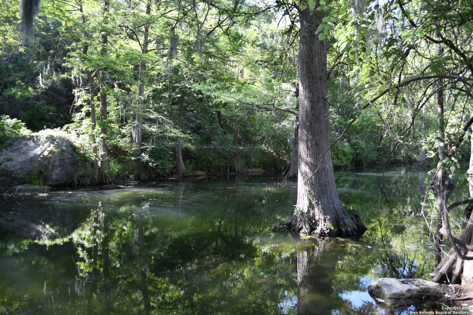 1738 Cave Drive Spring Branch, TX 78070 - Photo 12 of 12 a view of a lake with a tree