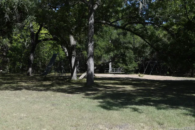 a view of a tree in the middle of a yard