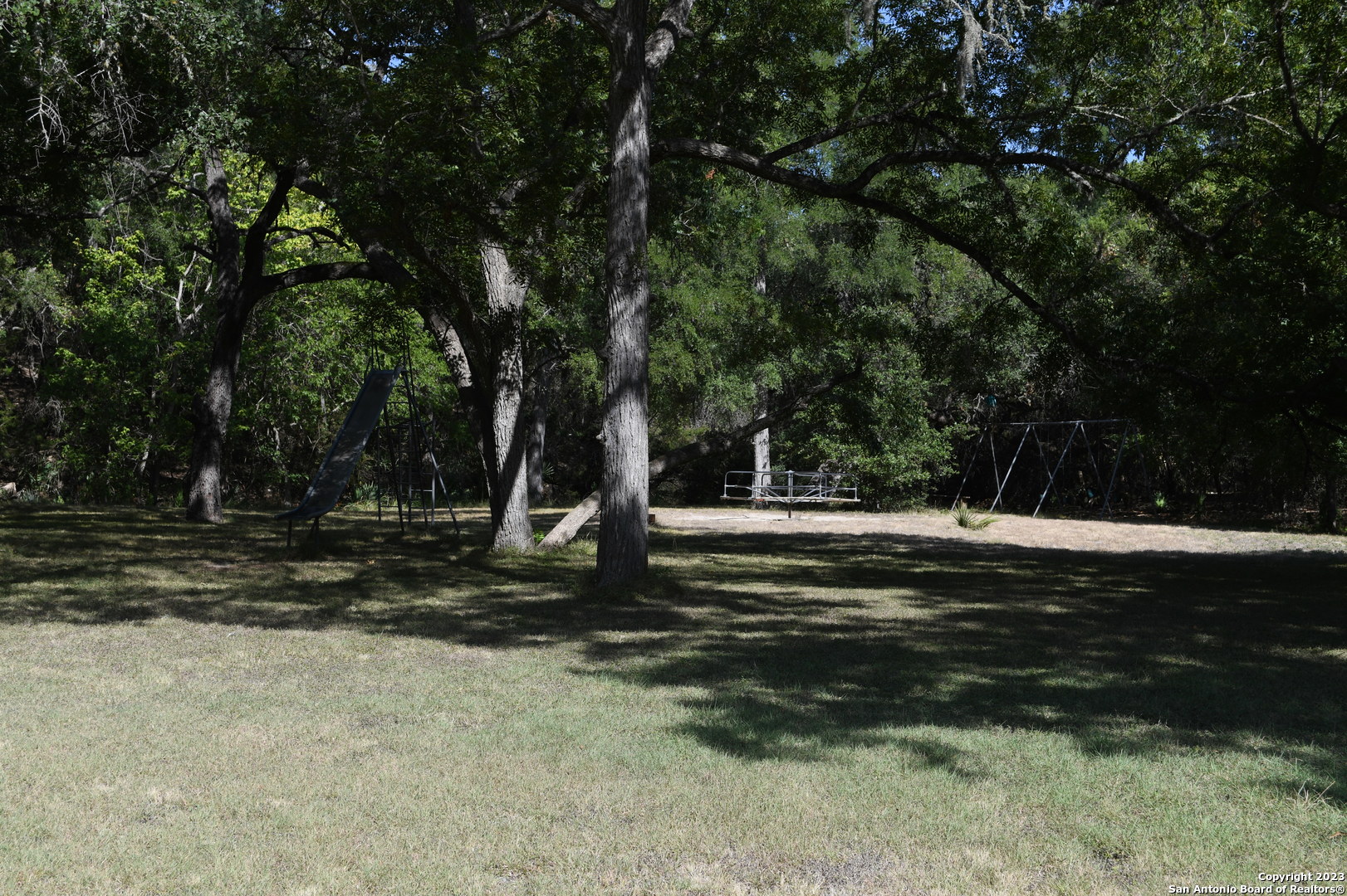 1738 Cave Drive Spring Branch, TX 78070 - Photo 10 of 12 a view of a tree in the middle of a yard