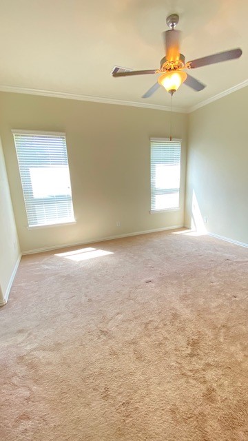 5002 Naples Grove Lane Rosharon, TX 77583 - Photo 29 of 38 Spacious bedroom with soft carpeting, abundant natural light from two windows, and a ceiling fan for comfort.