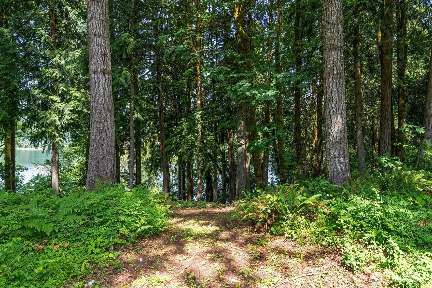 304 Winston Creek Road, Unit B10L3 Mossyrock, WA 98564 - Photo 21 of 30 a backyard of a house with lots of green space