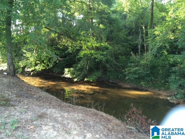 460 Moore Road Altoona, AL 35952 - Photo 4 of 29