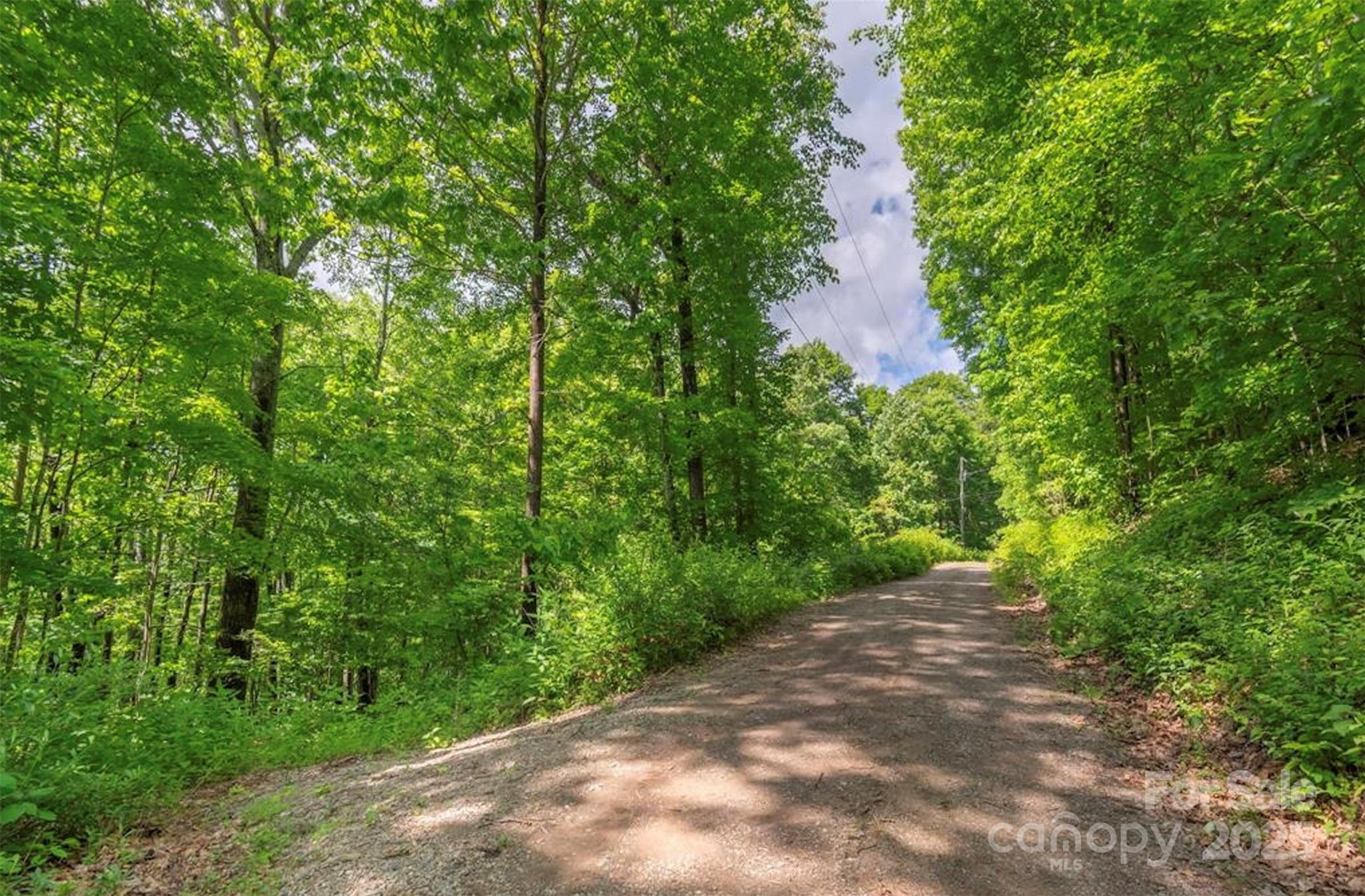 99999 Sara Ridge Road, Unit 32C Waynesville, NC 28786 - Photo 2 of 7