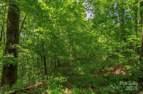 $50,000 | 99999 Sara Ridge Road, Unit 32C, Waynesville, NC 28786