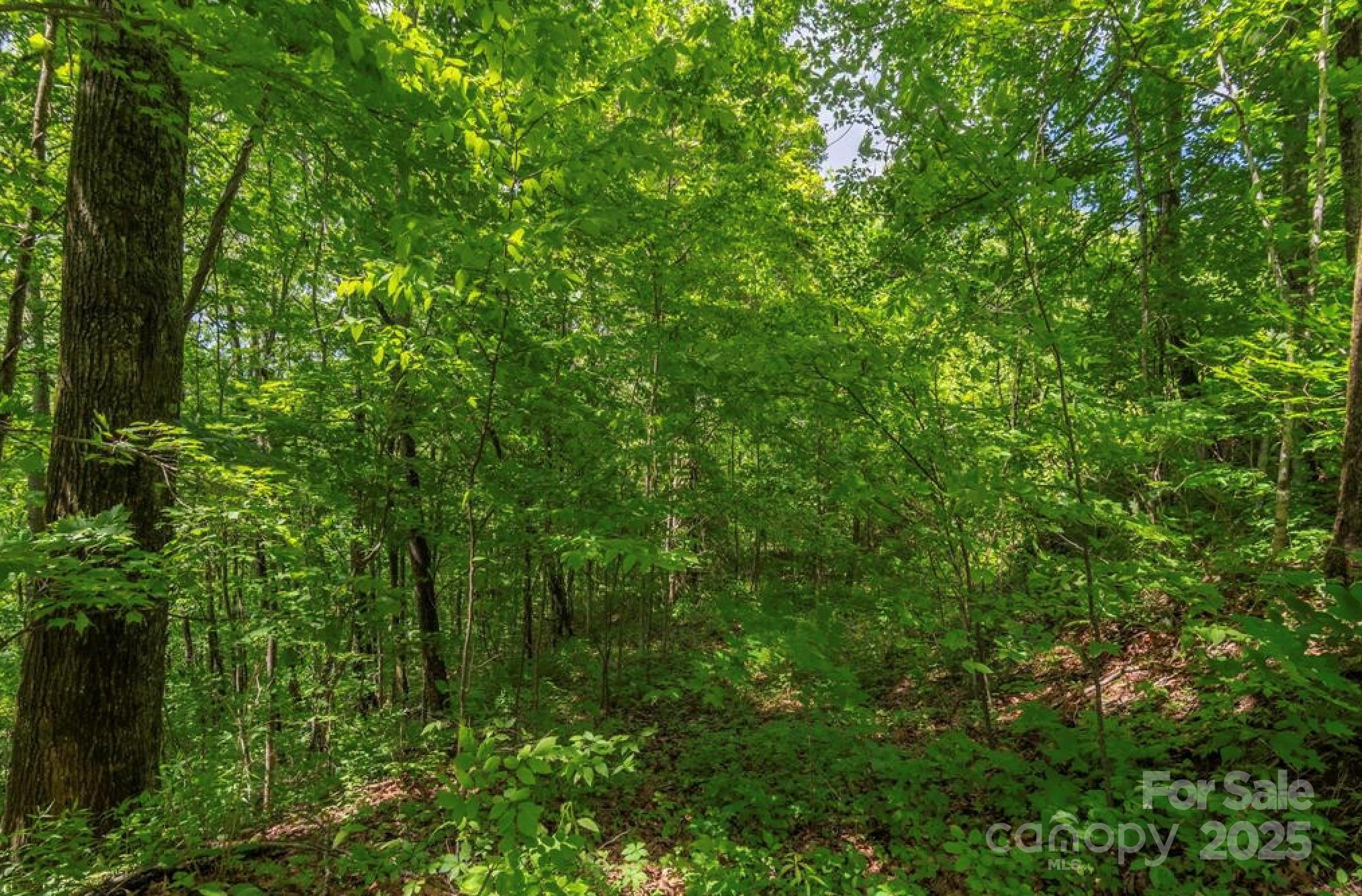 99999 Sara Ridge Road, Unit 32C Waynesville, NC 28786 - Photo 4 of 7