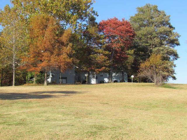 577 Lyons Road Alamo, TN 38001 - Photo 20 of 20 View from back of property