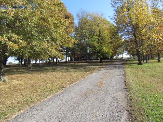 577 Lyons Road Alamo, TN 38001 - Photo 3 of 20 Driveway entrance to Home
