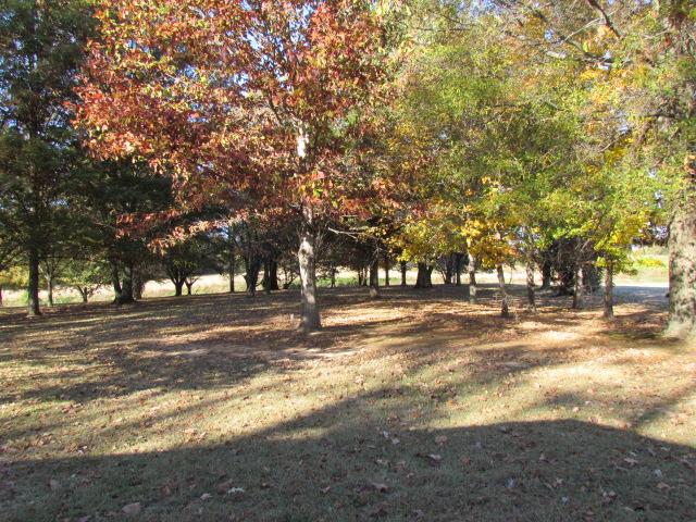 577 Lyons Road Alamo, TN 38001 - Photo 5 of 20 View of FRONTYARD from Covered Front Porch
