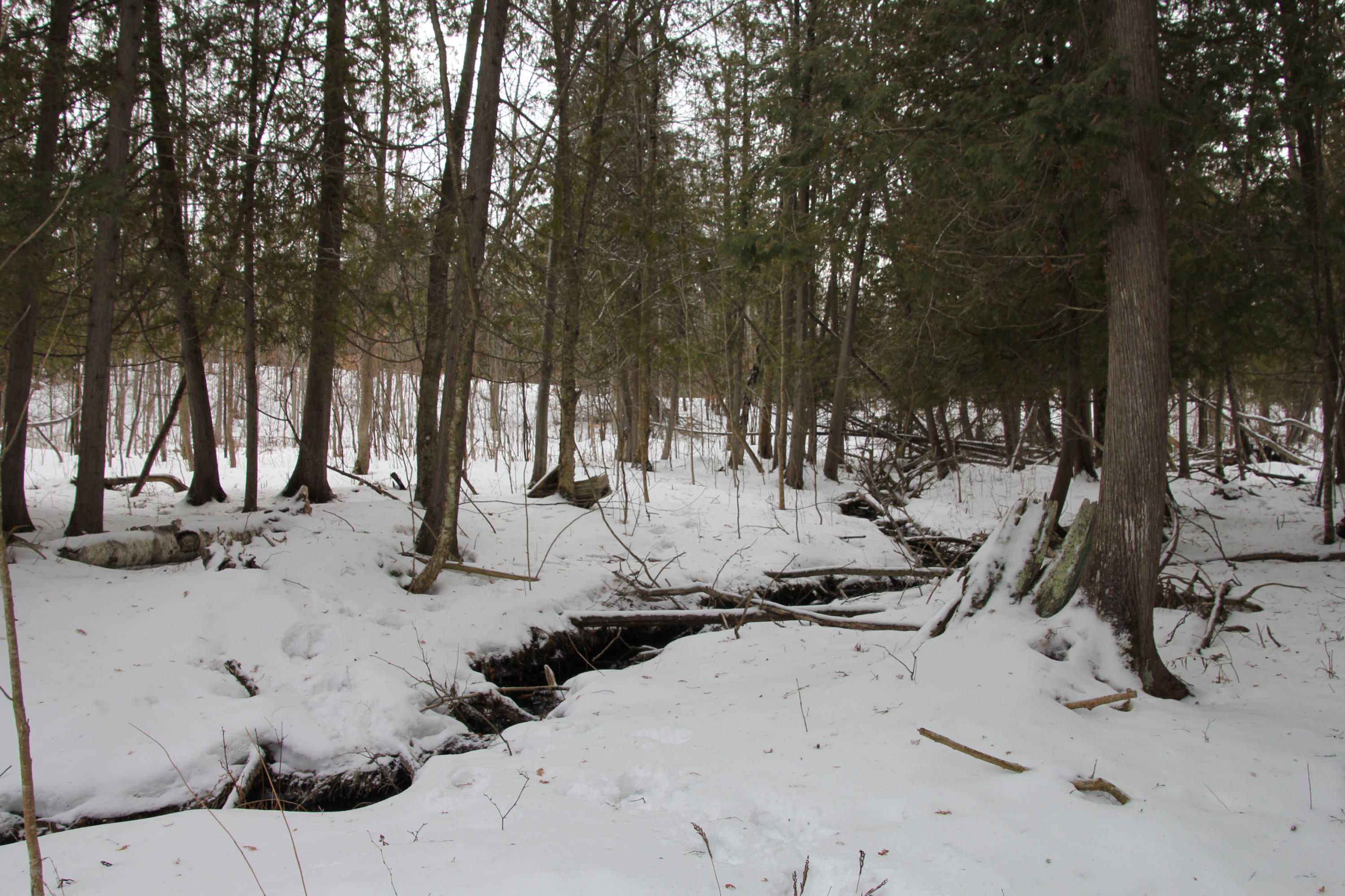 40-acres Tolan Road Spruce, MI 48762 - Photo 71 of 95 Gallery Image 71