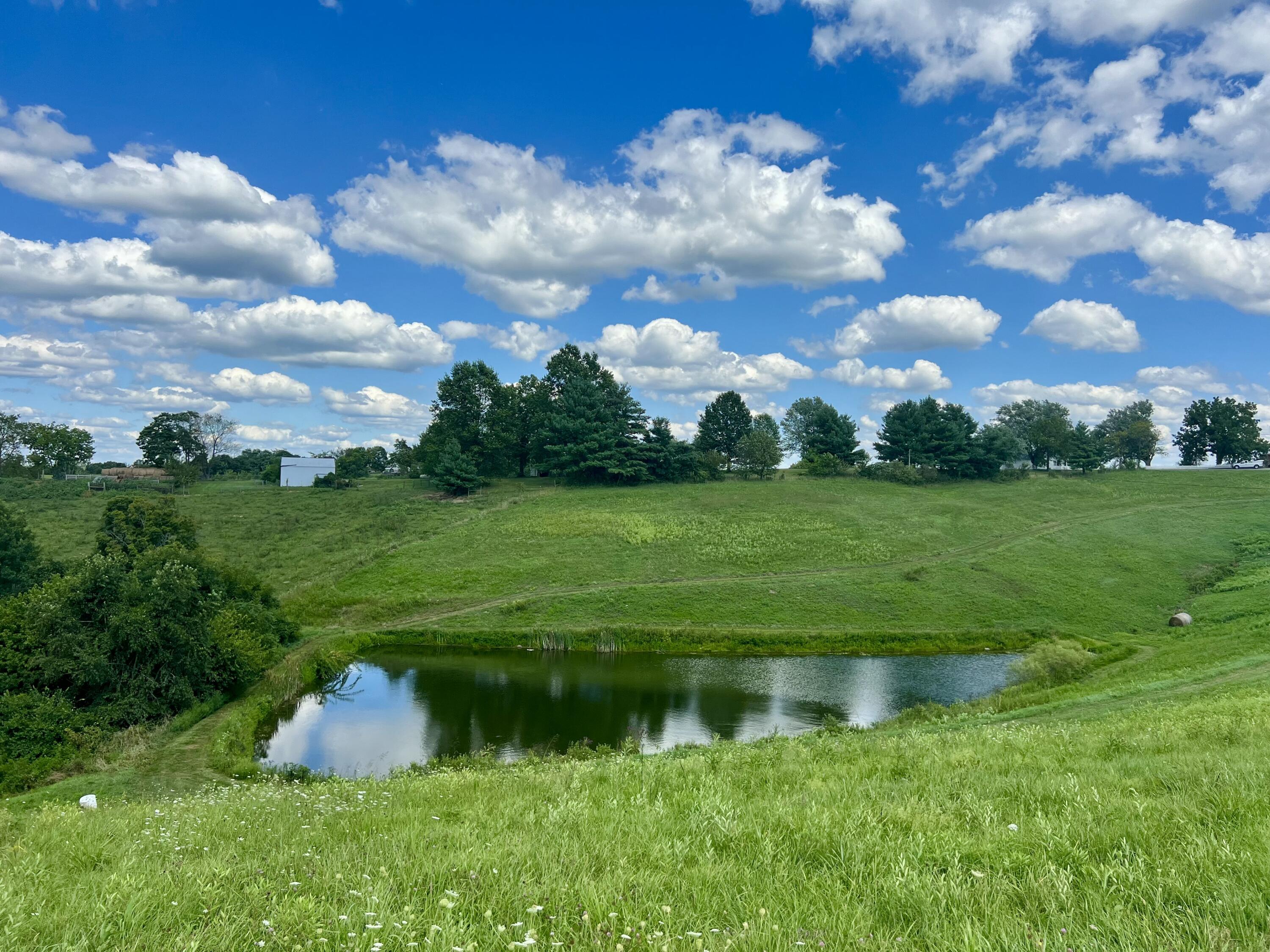 655 Humes Ridge Road Williamstown, KY 41097 - Photo 27 of 37 Gallery Image 27