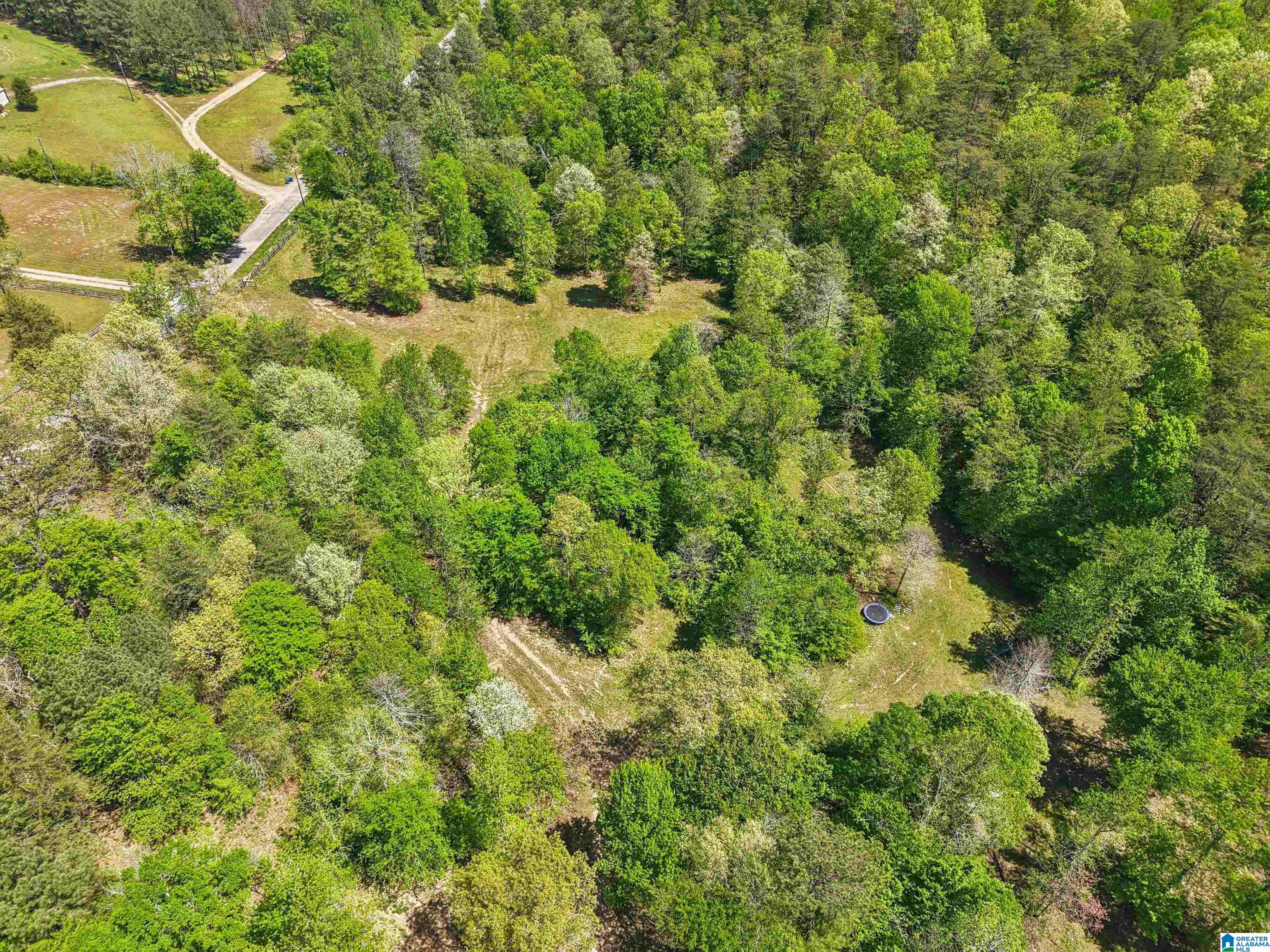 1678 Hays Cemetery Road Hayden, AL 35079 - Photo 11 of 87