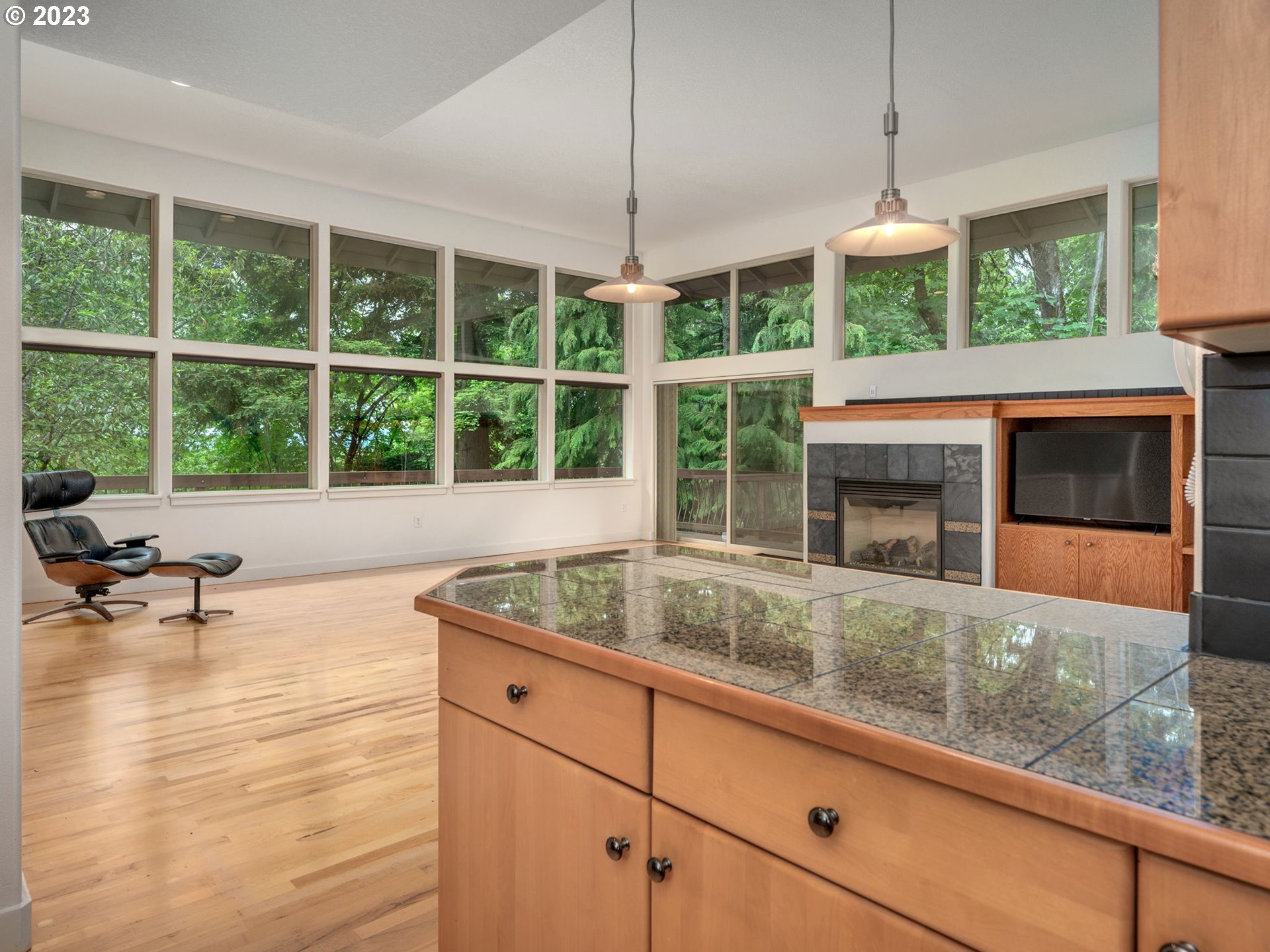 4249 Southwest Dosch Road Portland, OR 97239 - Photo 14 of 45 Gallery Image 14