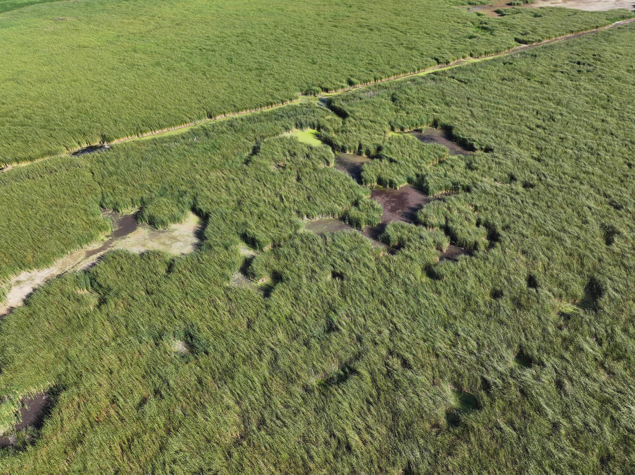 13 State Rte 13 Stirum, ND 58069 - Photo 17 of 31 Gallery Image 17