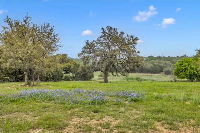 $1,150,000 | 123 Rocky Road, Hye, TX 78635