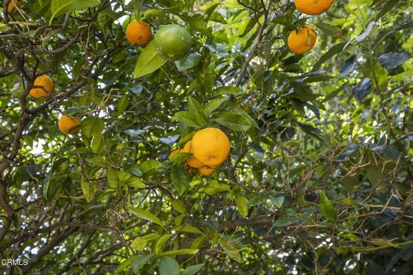 $1,050,000 | 258 Mara Avenue, Ventura, CA 93004