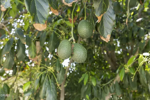 $1,050,000 | 258 Mara Avenue, Ventura, CA 93004