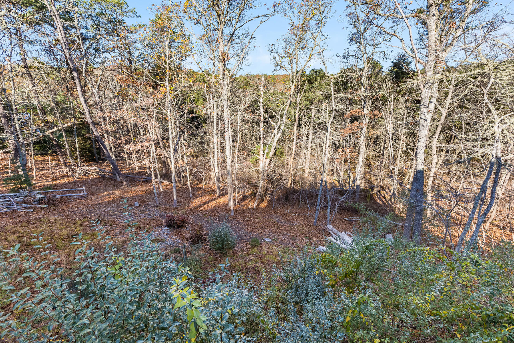 6-10 Ellerslie Road Orleans, MA 02653 - Photo 64 of 80 598A9927